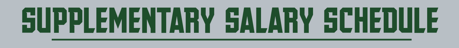 Supplementary Salary Schedule