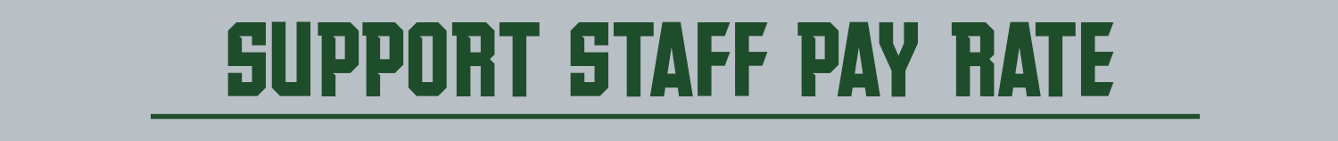 Support Staff